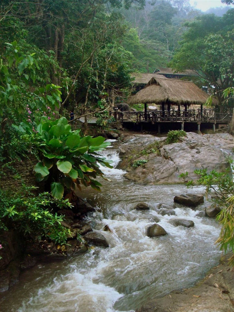 Maesa Elephant camp as you enter