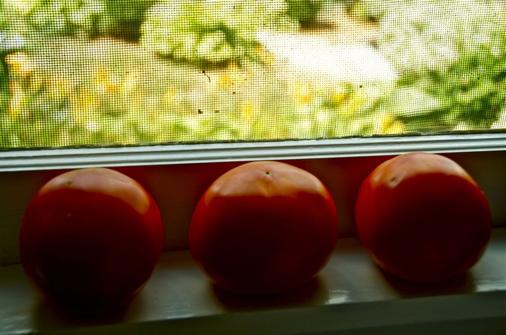 Three Tomatos