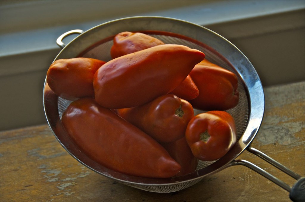 collendar of tomatos