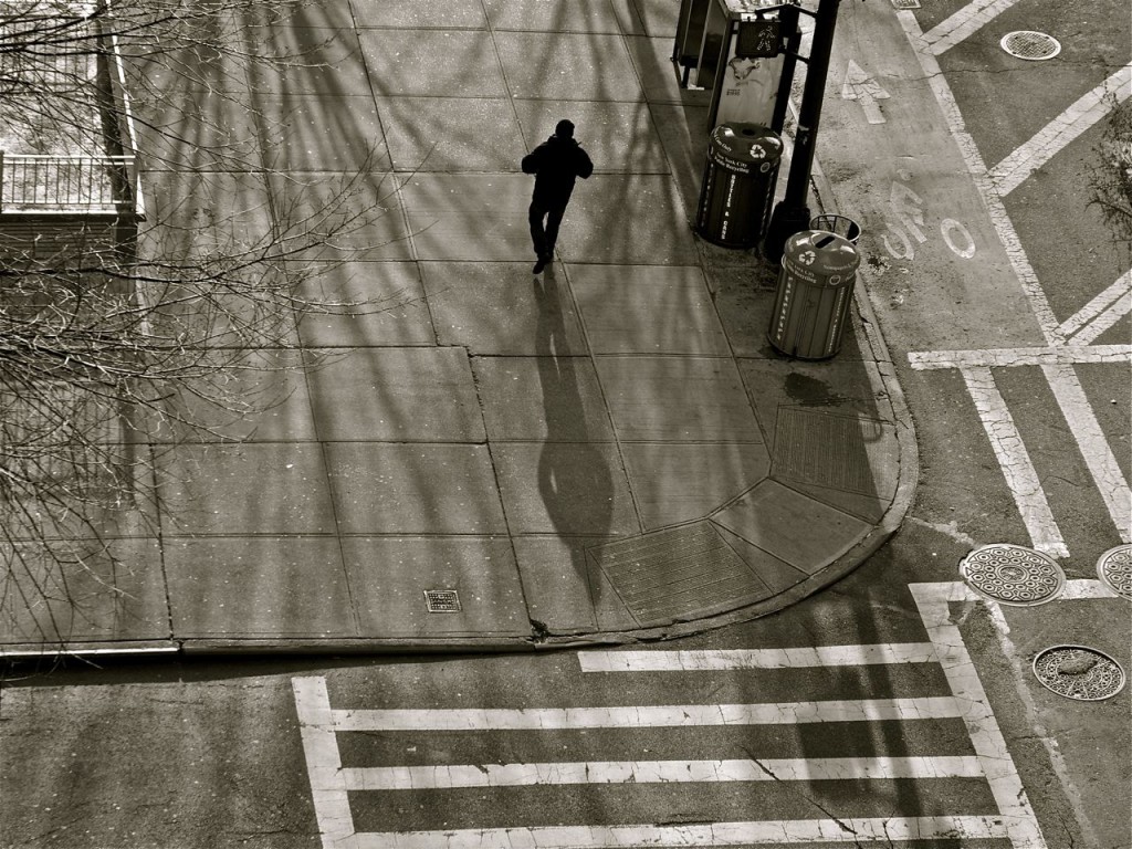 LONG SHADOWS IN WINTER