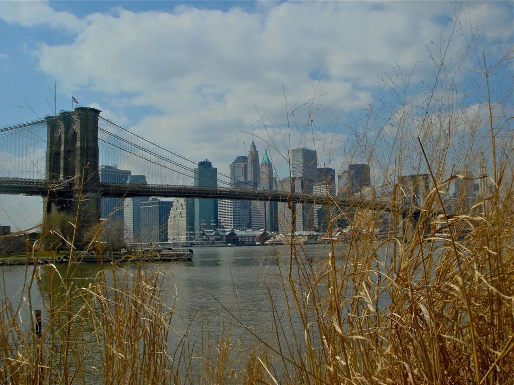 Brooklyn Bridge #2