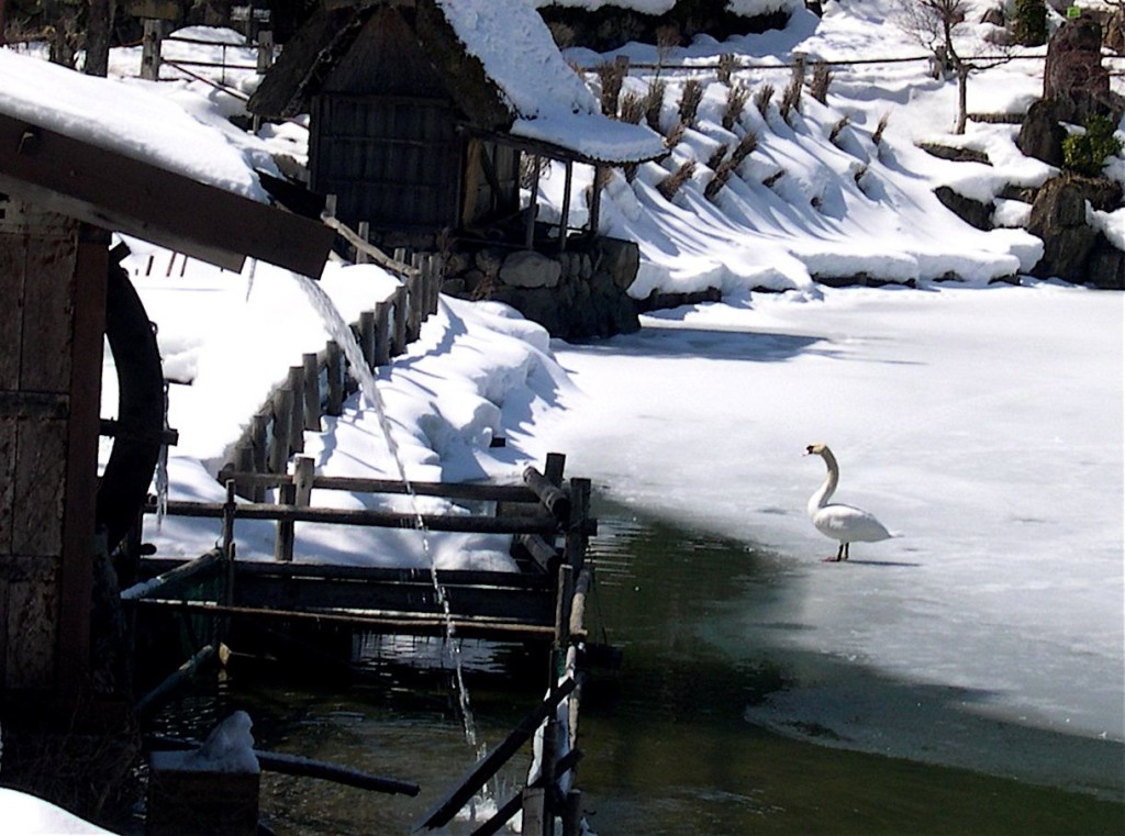 swan at mill