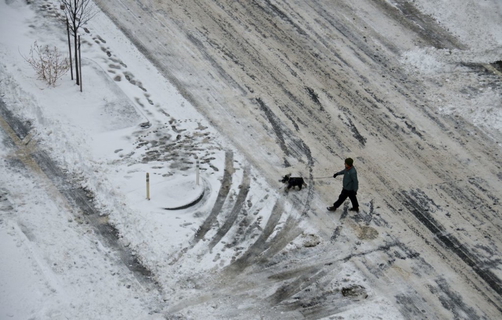 walking a dog in the snow