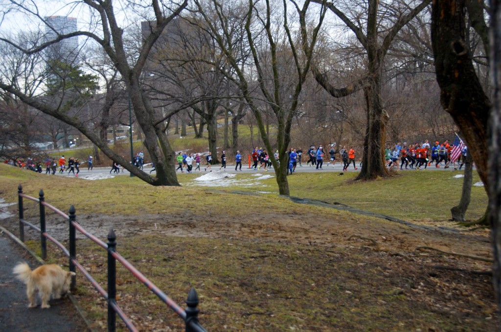 CENTRAL PARK MARATHON