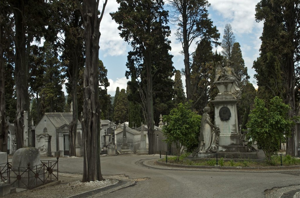 CEMETARY #4