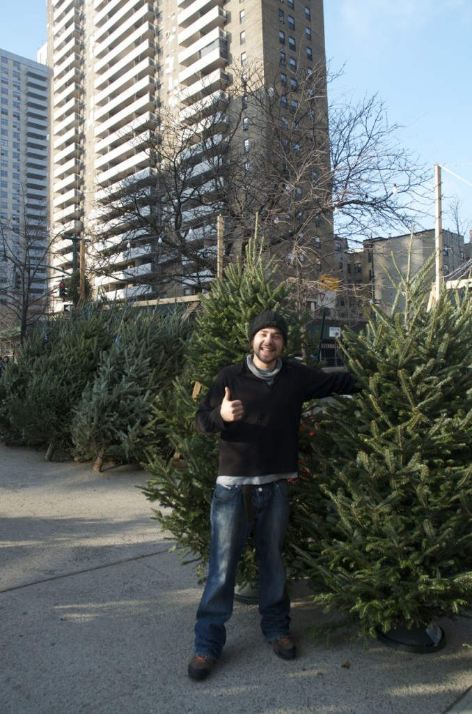 guy selling trees