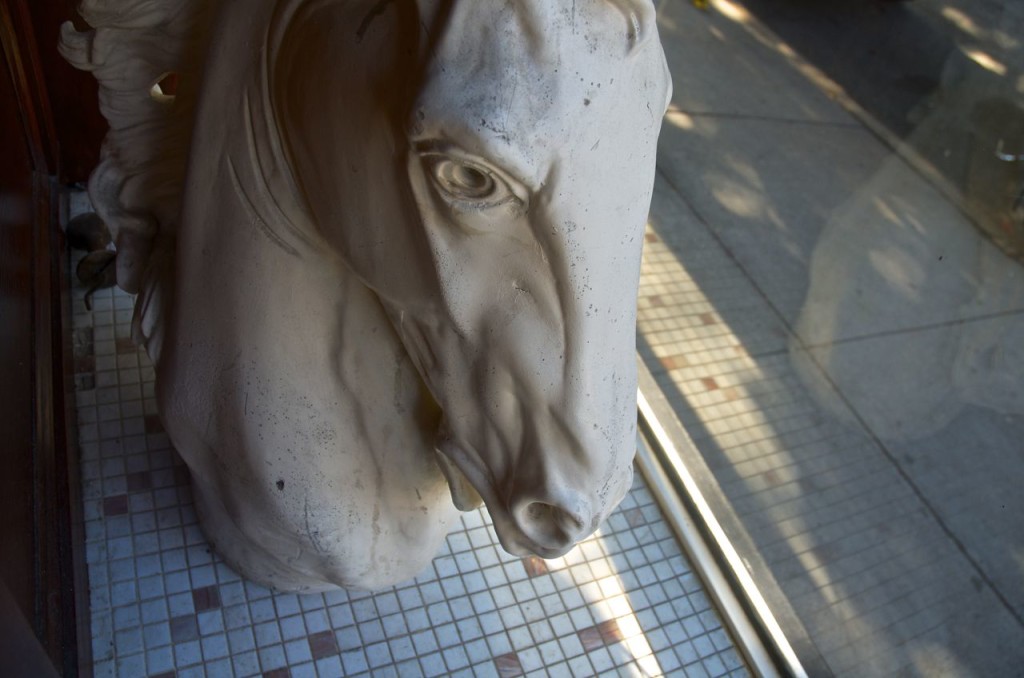 horse head