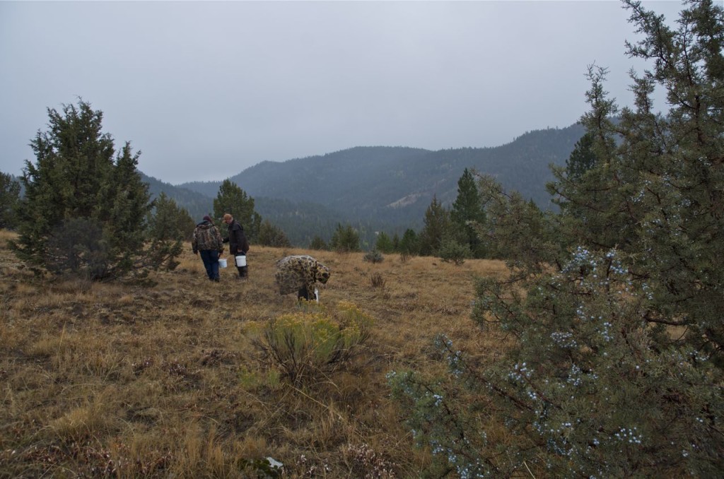 rock-hunters