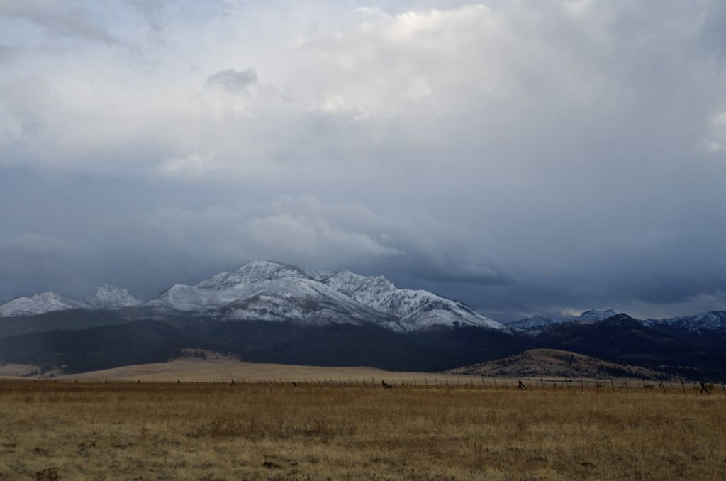 storm-descends