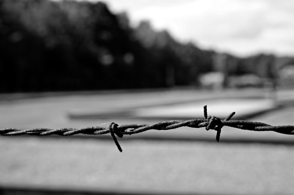 BARBED WIRE