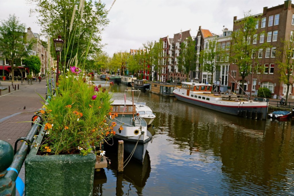 CANAL AND FLOWERS